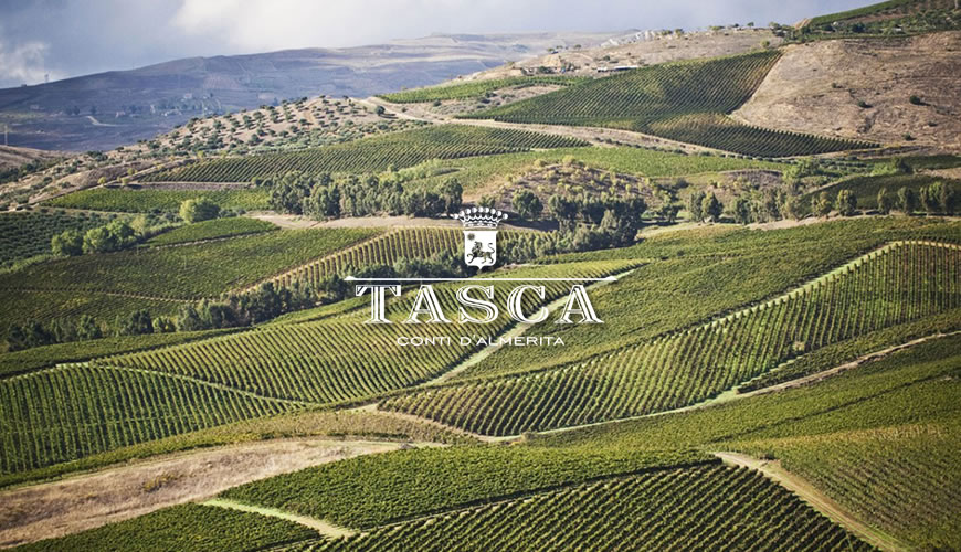 Tasca d’Almerita: vini sostenibili, senza paura di innovare